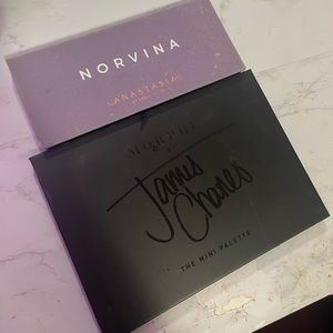Anastasia Norvina eyeshadow bundle